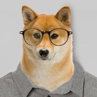 Design Doge