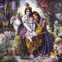 Sarva Drgvyasah