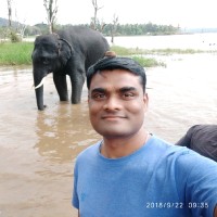 Mahantesh V P