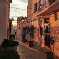 فتون المطيري