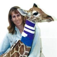 Meri Stratton-Phelps