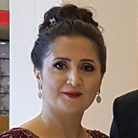 Zinet Çivril