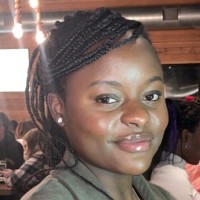 Kudzi Chisveto