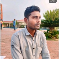 Biddut Ali