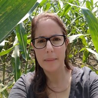 Michal Alon, Ph.D