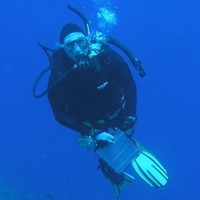 Dr Daniela Ceccarelli