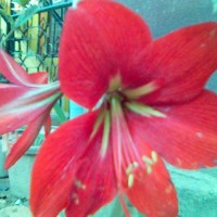 hariprasath balakrishnan