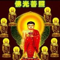 谢淑伟