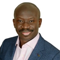 Ibrahim Labaran Ali, FCIPS, FCA