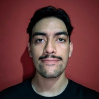 Fernando J. Mendez