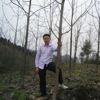 Zhang Liming