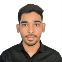 Hitesh M Pareek