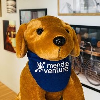 Vc Puppy