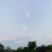 楼晴昊