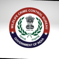 Assistant Director Admin