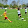 Cees Messemaker