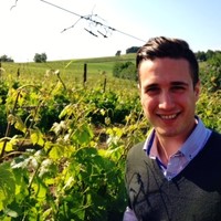 Simone Margheri