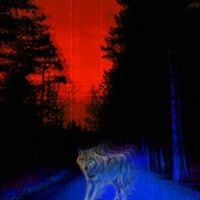 Tahin Hunter