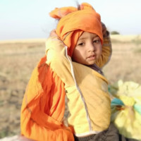 Sachin Ojha