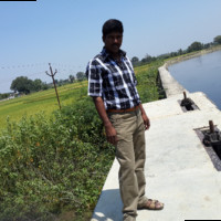 Sundaramoorthy M