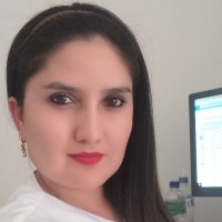 YOLANDA FERNANDEZ ERAZO