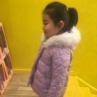 马振宝