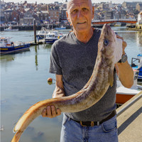 Trevor Thornton