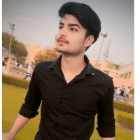 Prince Rajput