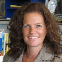 Dirkje Van Hattem