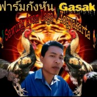 Bos Tri