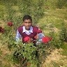 Shailendra Sahu