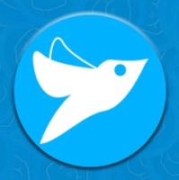 Birb Coin