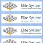 Elite System