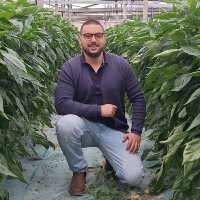 Vito Marino Palmieri