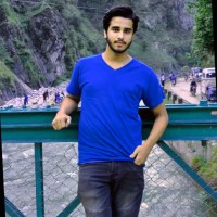 M Hassan Saleem