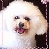 封吟颖