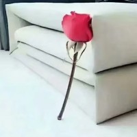 孙宝根