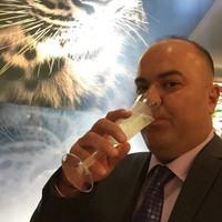 Amir Tashvighi