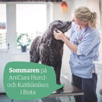Anna Olzén