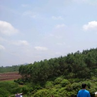 梁丛征