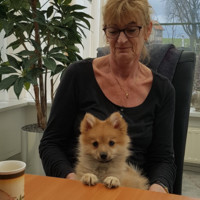 Mieke Fouw Quist
