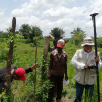 Luz Amparo Gonzàlez Sandoval