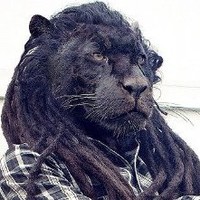 Gino Giancarlo Cáceres Carbajo