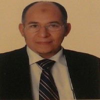 Director Of Operatio Ibrahim M. Abdelhady
