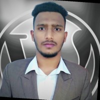 Mahmudul H Saimon
