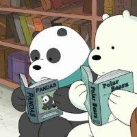 许佳鹏