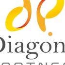 Diagonal PARTNERS