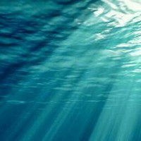 Florian Casé