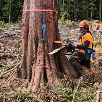 Seamus Doyle-Baggaley