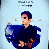 Parvez Ali